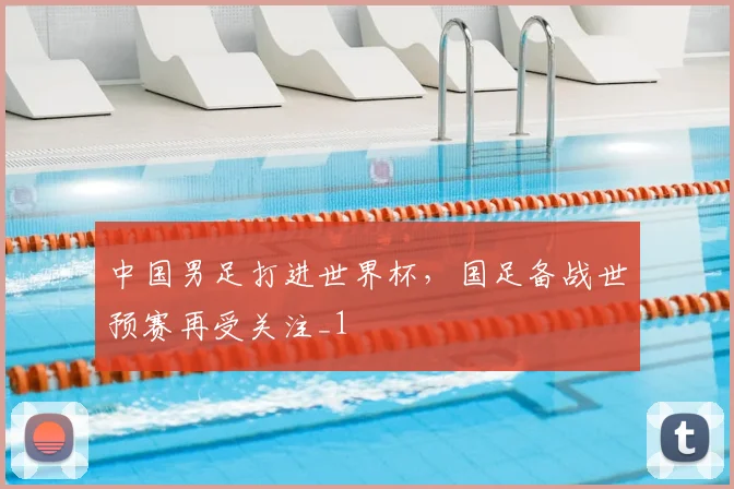 中国男足打进世界杯,国足备战世预赛再受关注_1