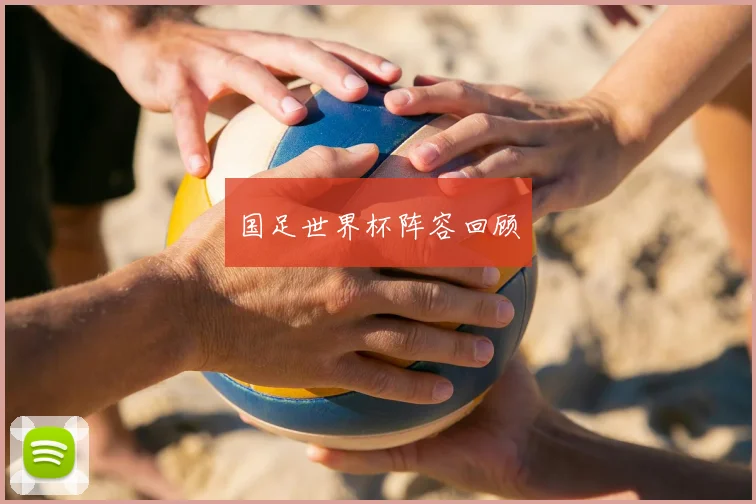 国足世界杯阵容回顾