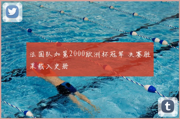 法国队加冕2000欧洲杯冠军 决赛胜果载入史册