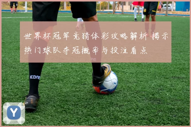 世界杯冠军竞猜体彩攻略解析 揭示热门球队夺冠概率与投注看点