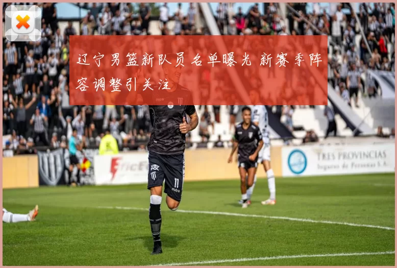辽宁男篮新队员名单曝光 新赛季阵容调整引关注