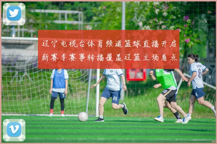 辽宁电视台体育频道篮球直播开启新赛季赛事转播覆盖辽篮主场看点
