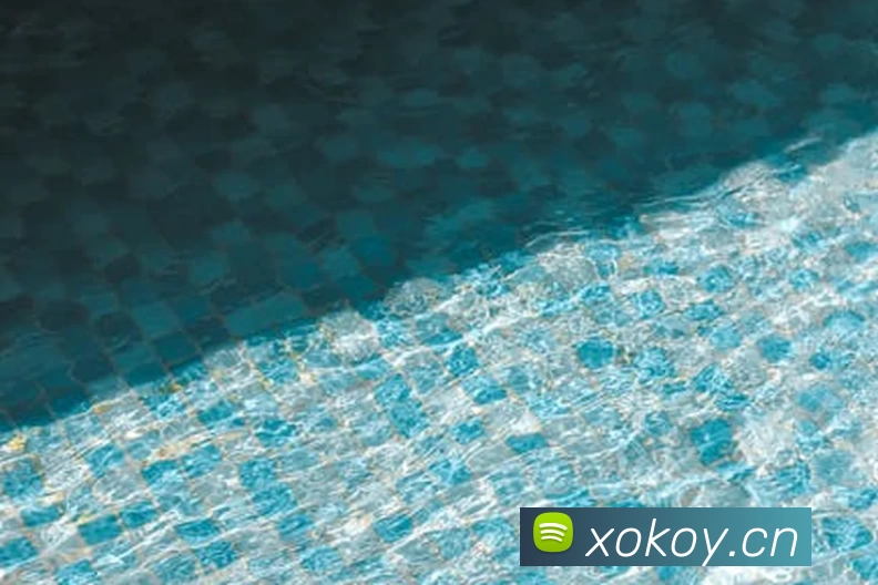 九游·官方版web站入口 - Jiuyou j9(中国)平台生态图